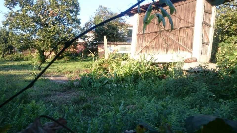 Moradia para reconstrução e Quinta com barracão, canastro e poço.