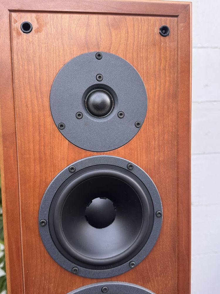 Dynaudio Contour 3.0 kolumny podlogowe