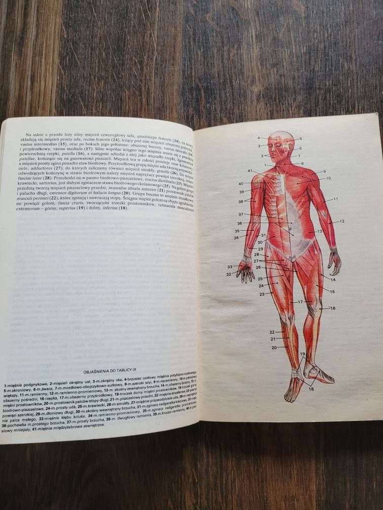 720. "Mały atlas anatomiczny" Witold Sylwanowicz