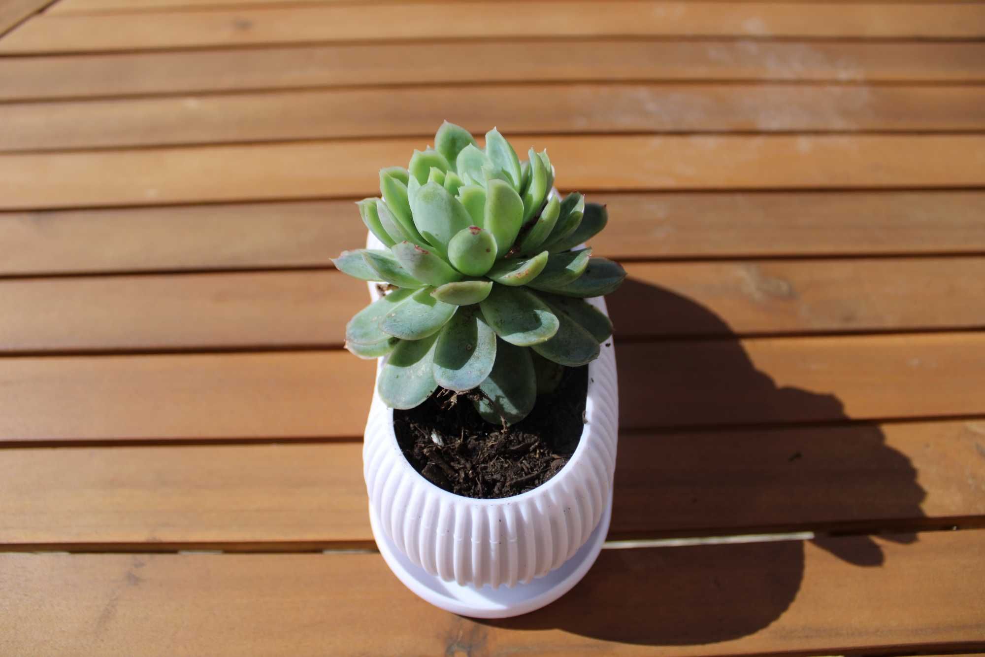 Vaso Decorativo Impresso em 3D
