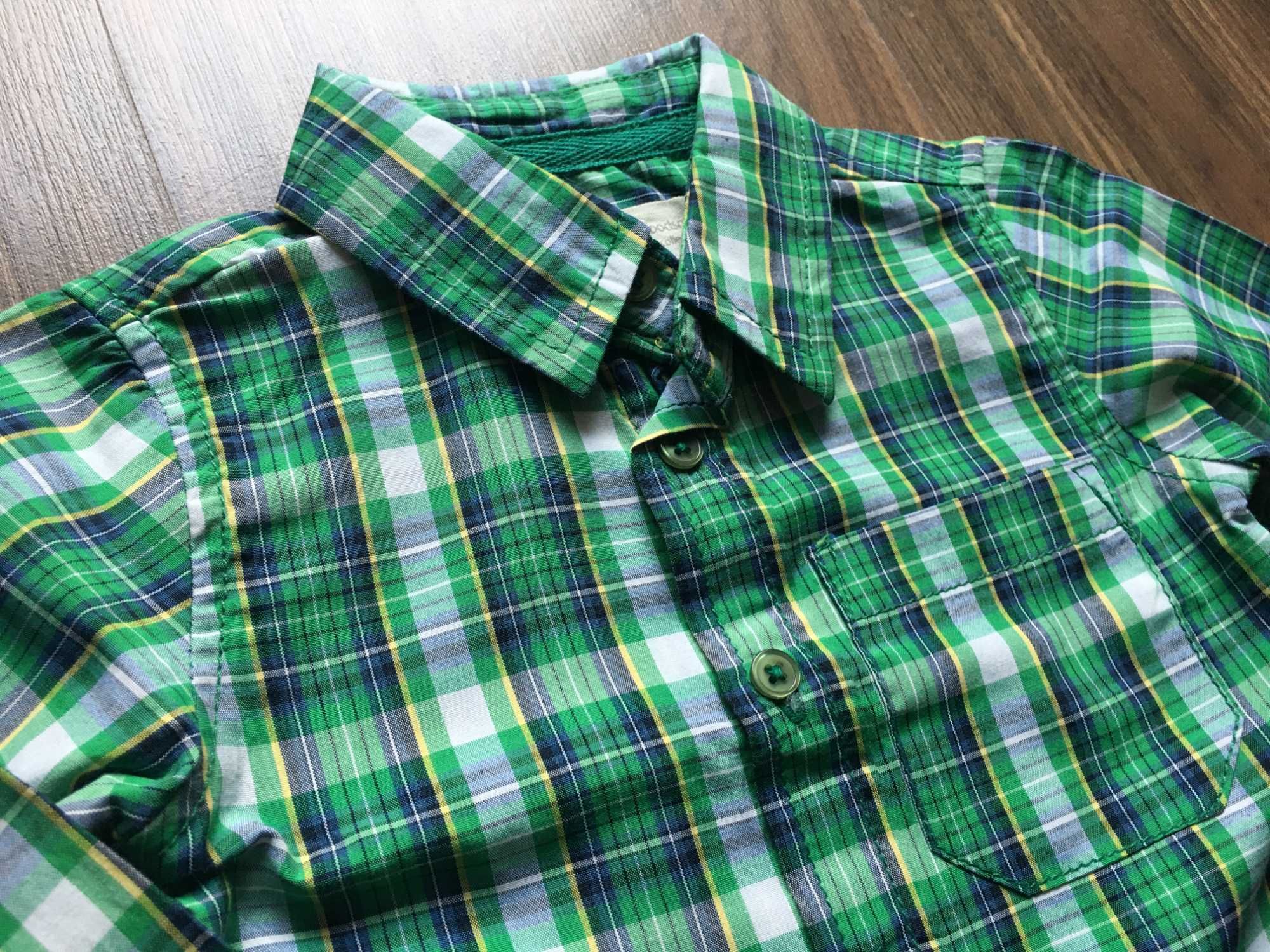 Zielona koszula w kratę - 5 10 15