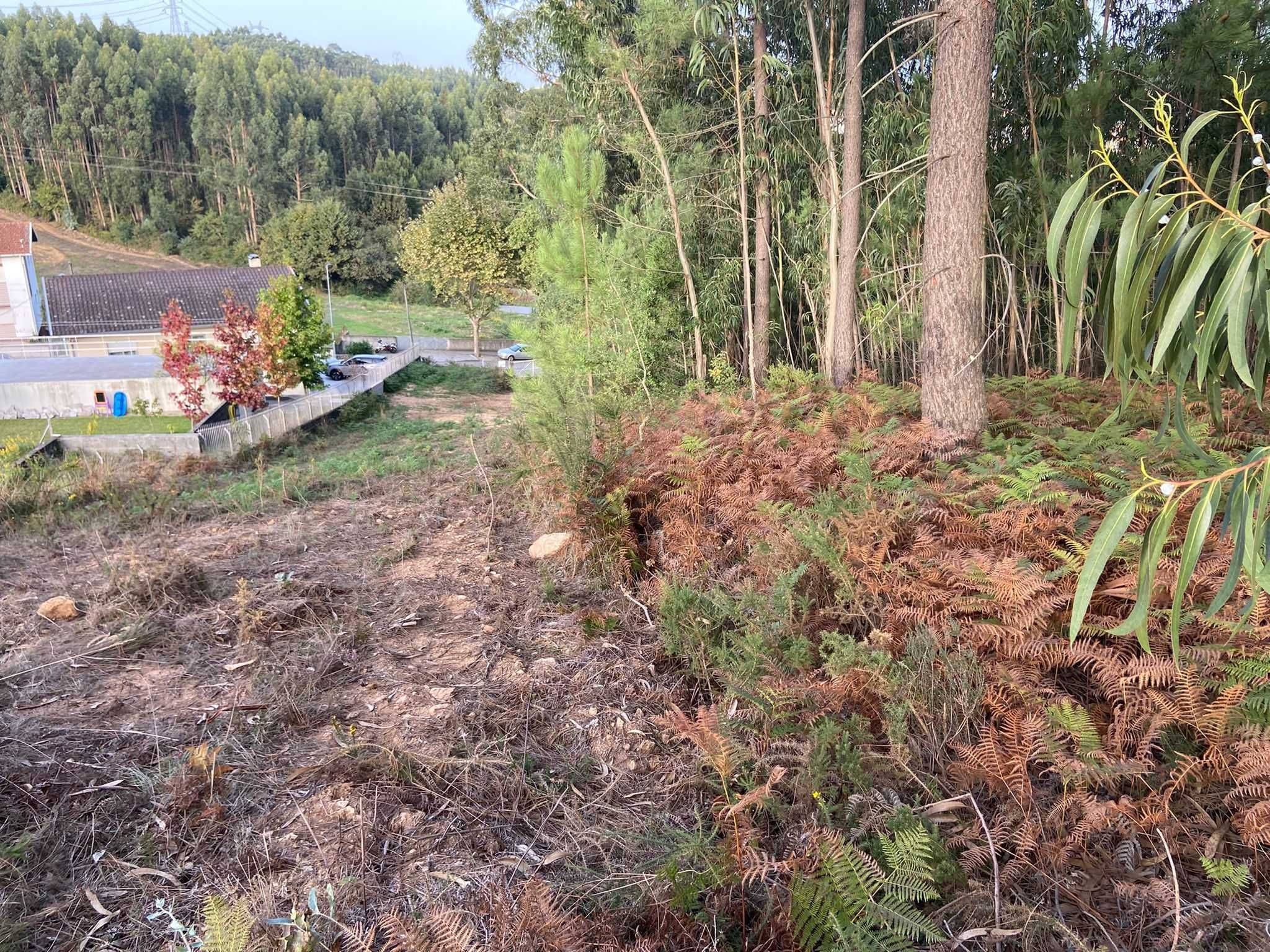 Terreno 793M2 C/Projeto Aprovado