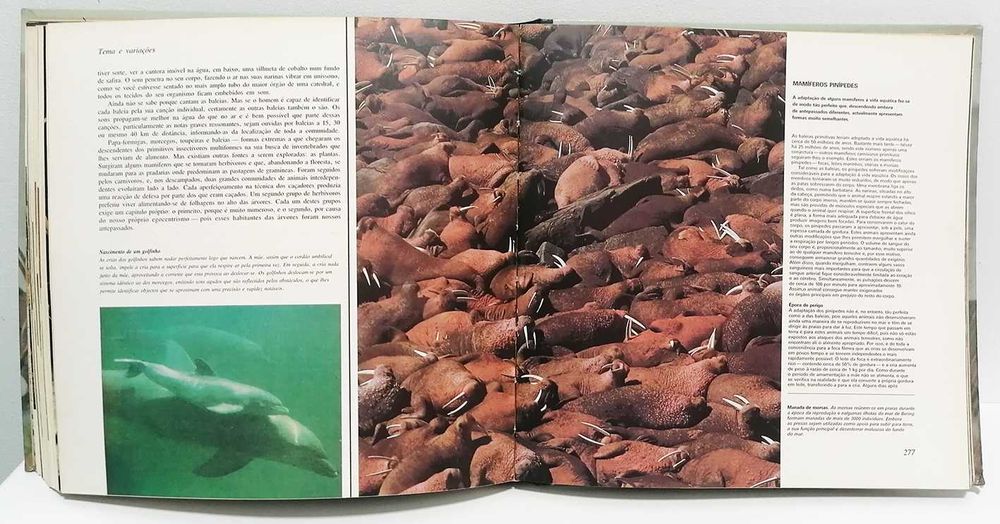 Livro - A vida na Terra - David Attenborough