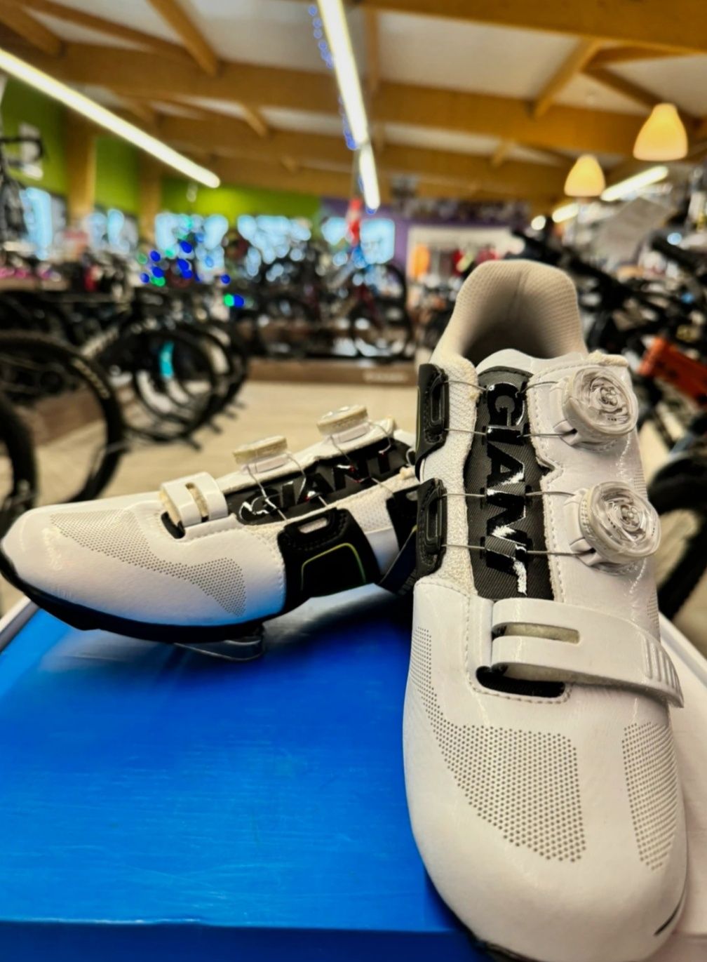 Sapatos de estrada brancos Giant