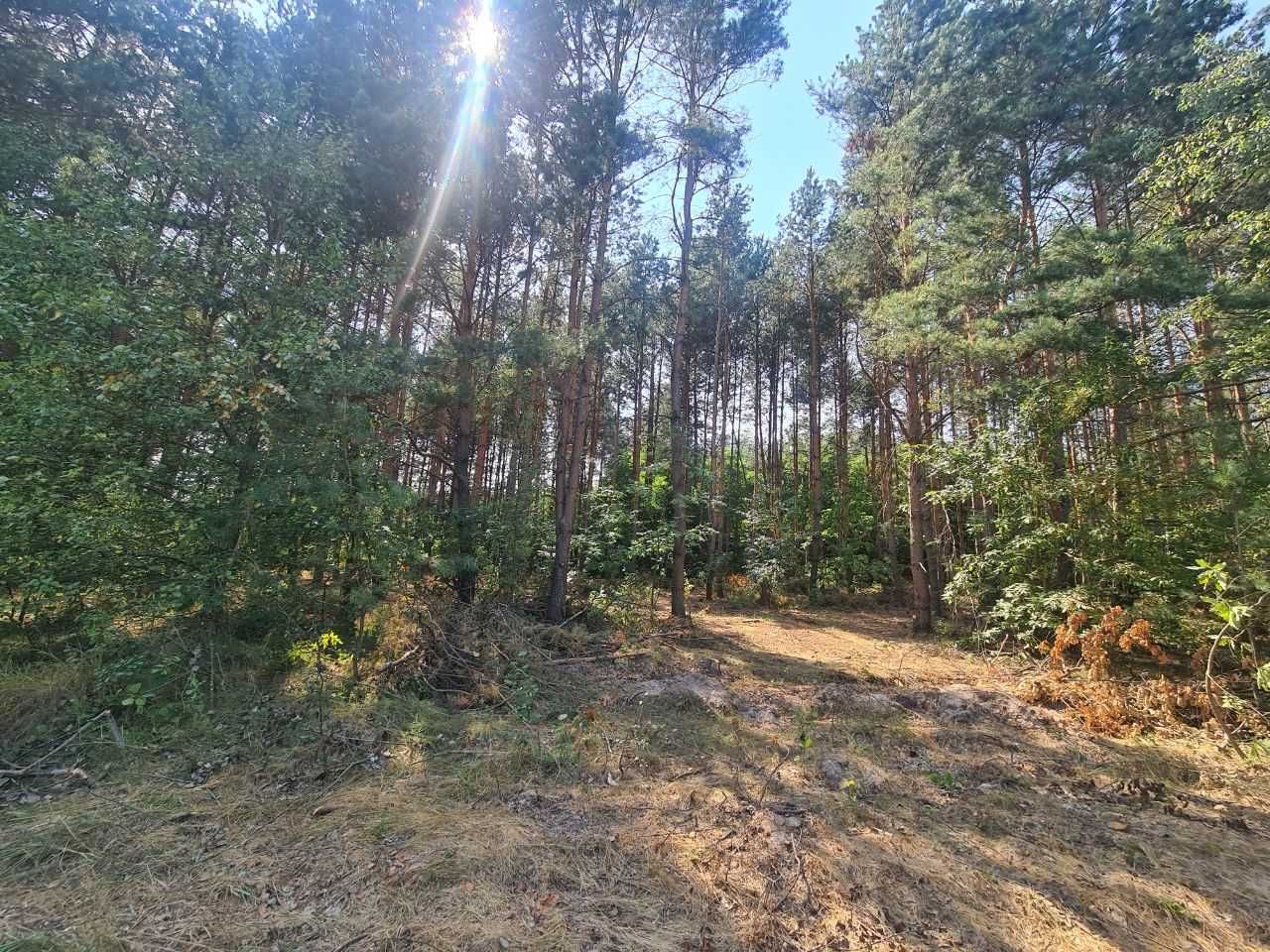 Продам землю 225 соток.Київська область.Макарівський район.Яблунівка.
