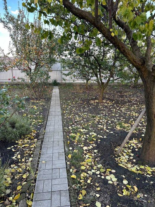 Продам дом-дачу в селе Новая  Дофиновка