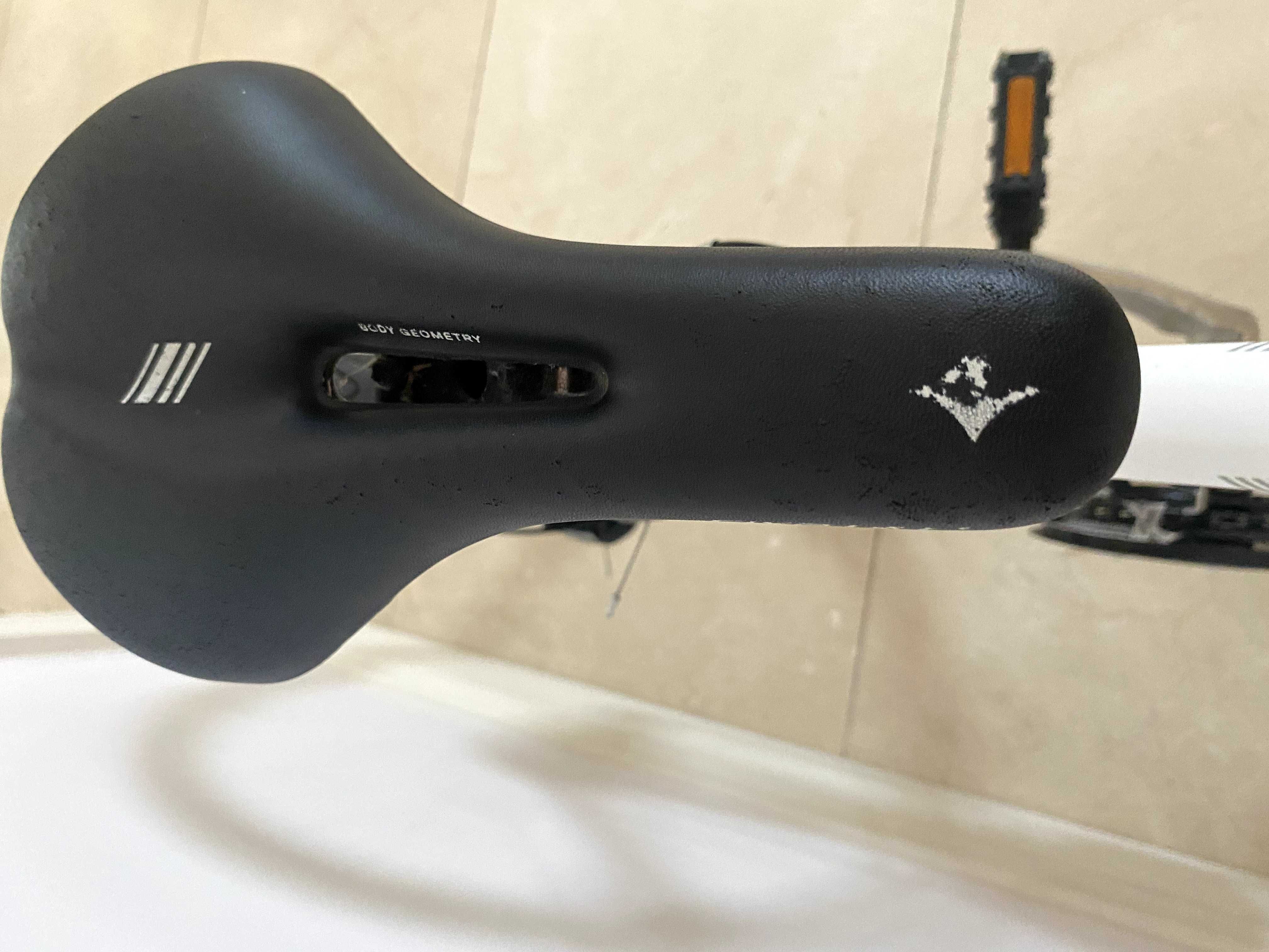 Specialized Vita