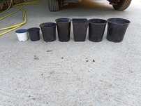 Vasos multicolor e multitamanhos  para plantas