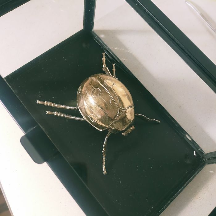 Dekoracja szklana gablotka