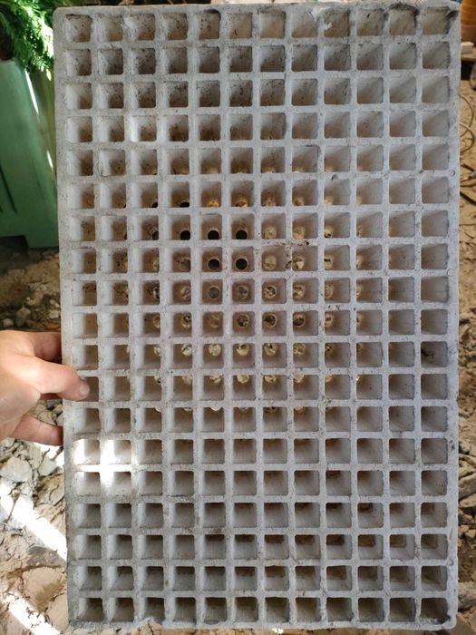 Multiplaty / wielodoniczki / multipalety / tace rozsadowe / tacki