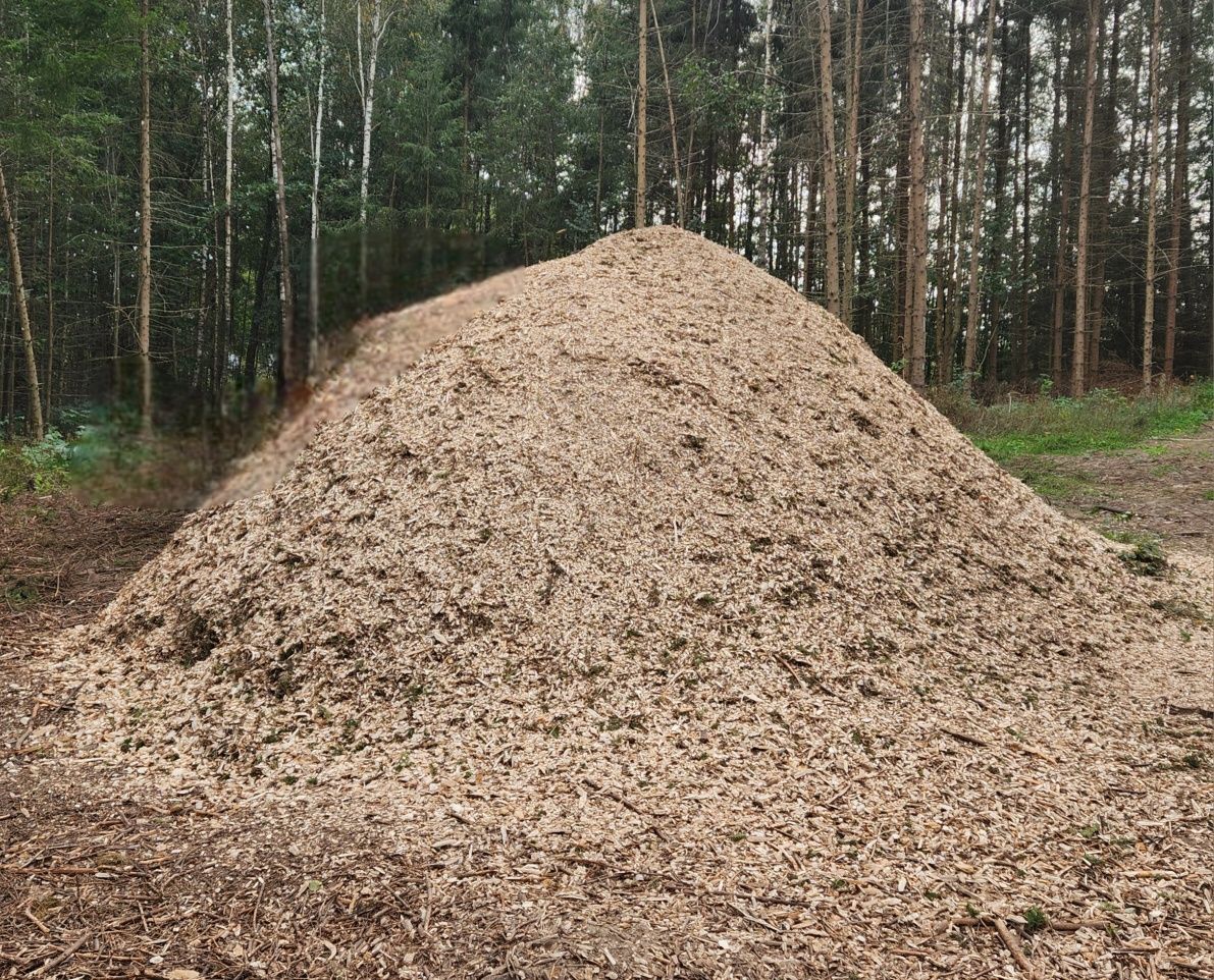 Zrębka ozdobna do ściółkowania roślin