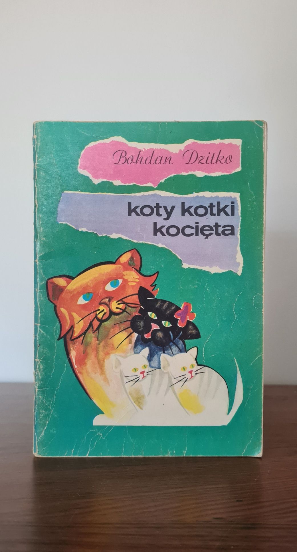 Koty kotki kocięta - Bohdan Dzitko