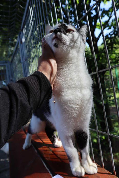 Szprotka czeka na dom...