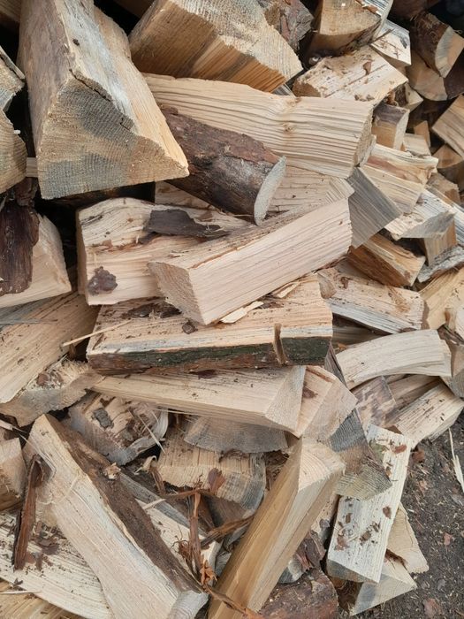 Suche drewno opałowe opał drzewo sosna brzoza olcha