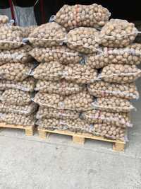 Ziemniaki odmian jadalnych kal 3-5 Sifra, Catania, Irys, NOYA, Rudolf