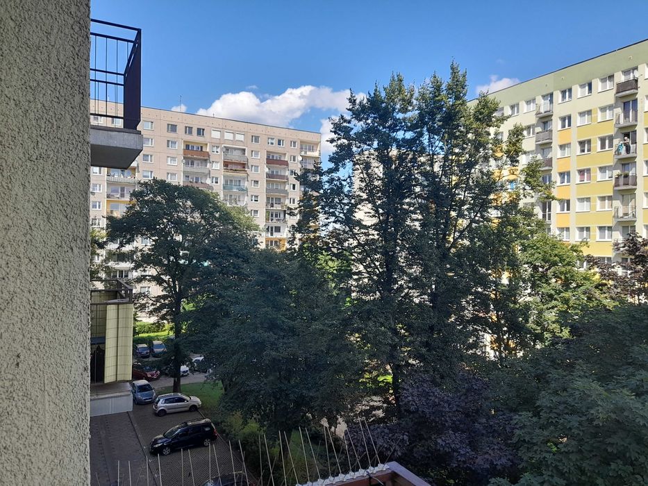 Mieszkanie do wynajęcia Pabianice 32 m2. 2 pokoje i kuchnia.