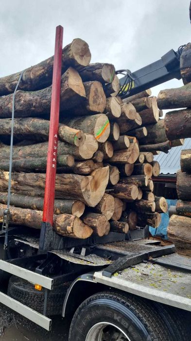 buk opałowy, kłody