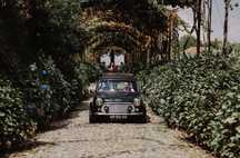 Mini British Open 1300