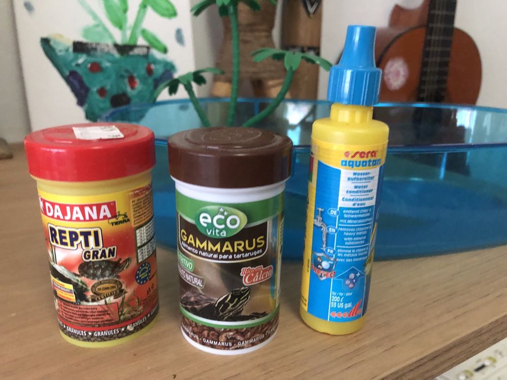 Terrário / Tartarugueira com acessórios