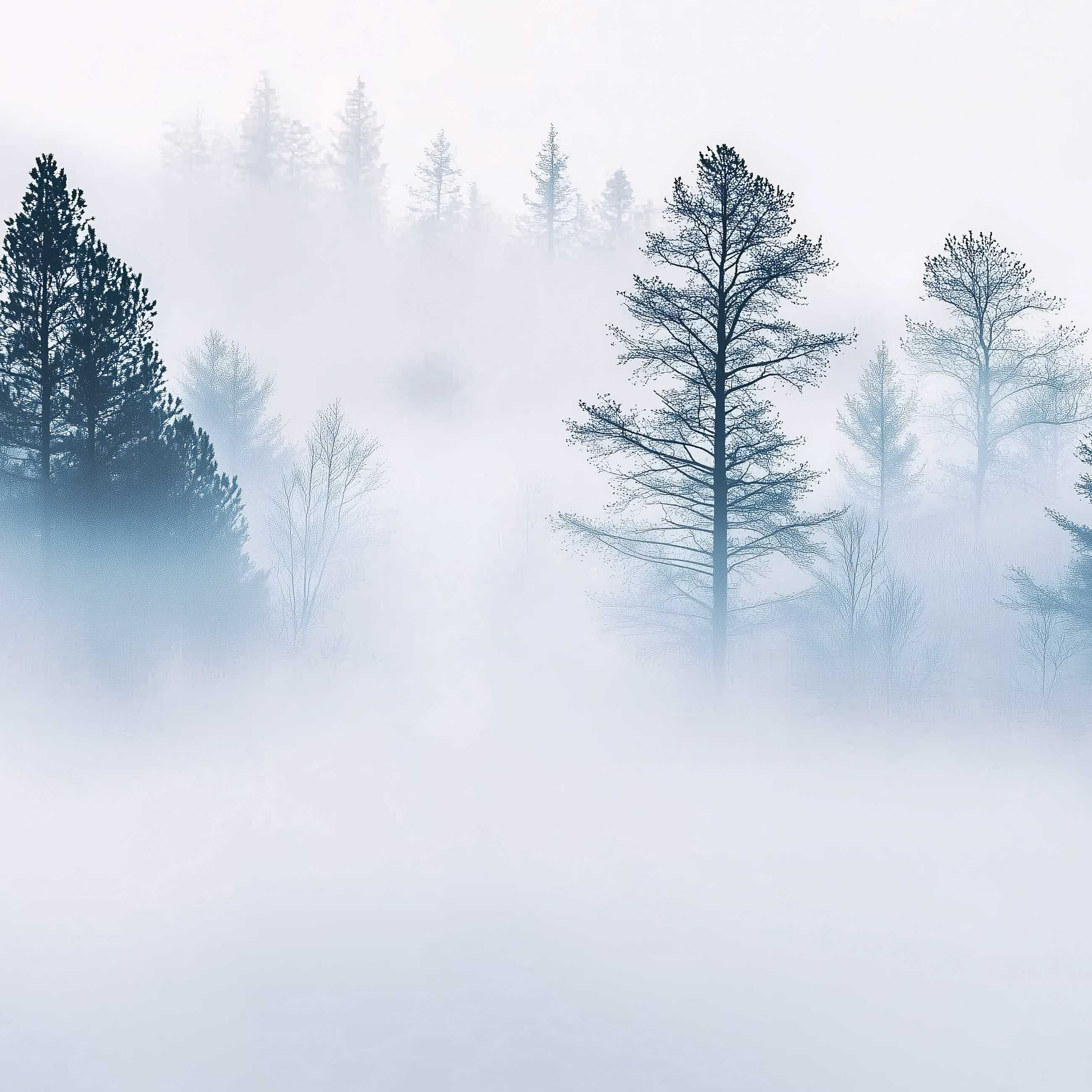 Fototapeta Las We Mgle Zieleń Biel Natura Drzewa Niebieski 3D + KLEJ