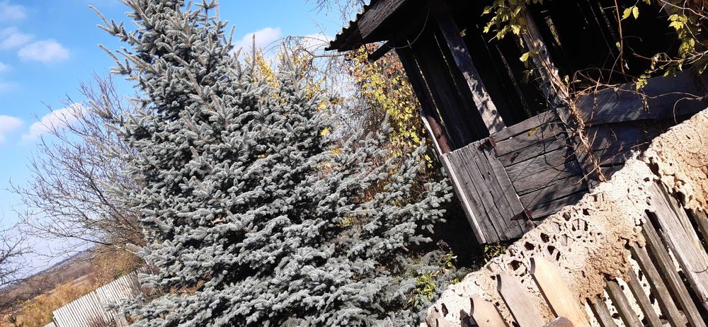 продаєм будинок із жилою літнєю кухнею