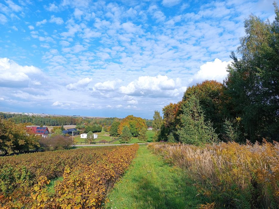 Działka budowlana/rekreacyjna
