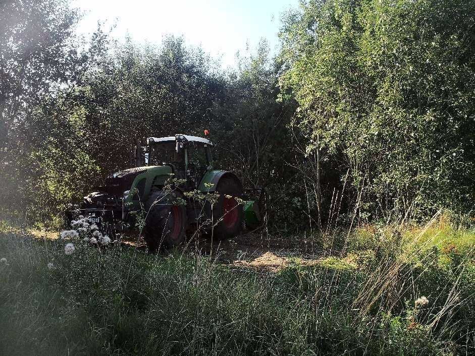 Usuwanie drzew, krzaków, samosiejek mulczerem leśnym.