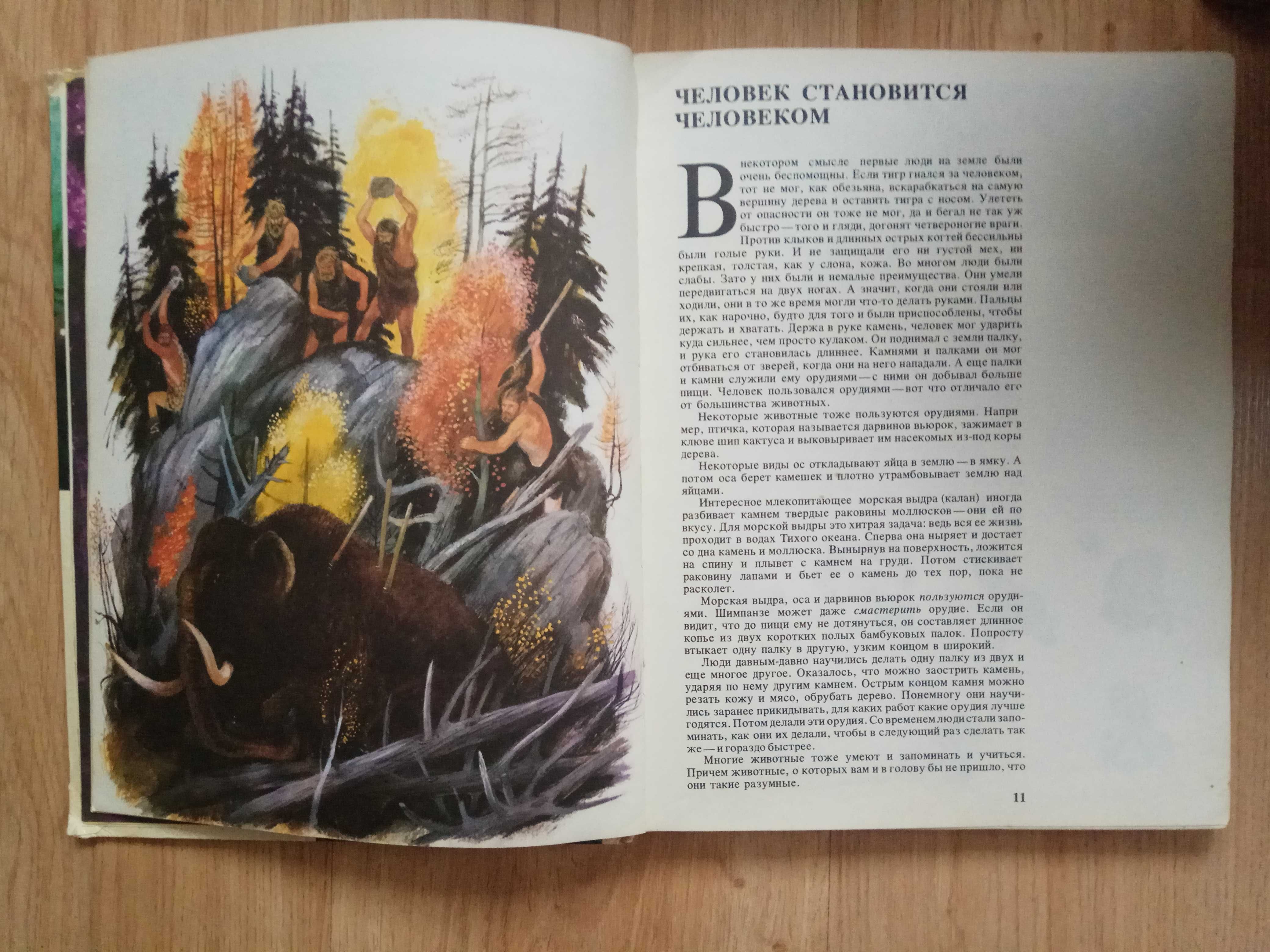 «Книга о языке»  Франклин Фолсом 1974 год издания
