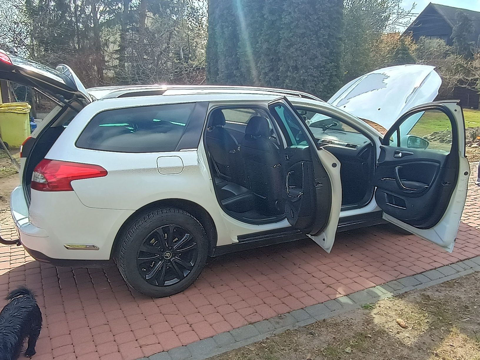 Citroen C5 biała perła