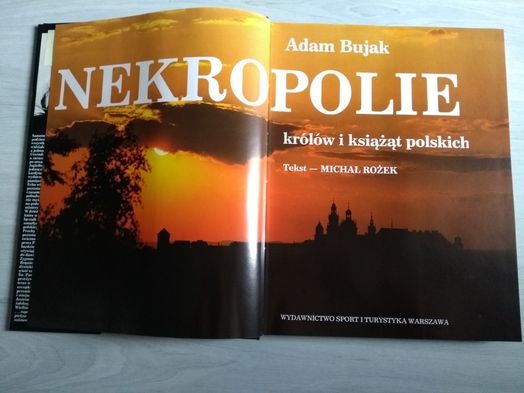 Nekropolie królów i książąt polskich, Adam Bujak