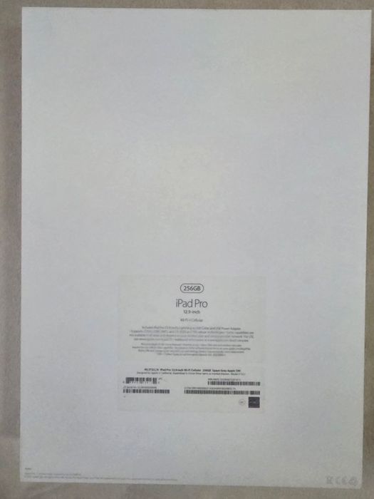 Ipad Pro 12,9 256 gb