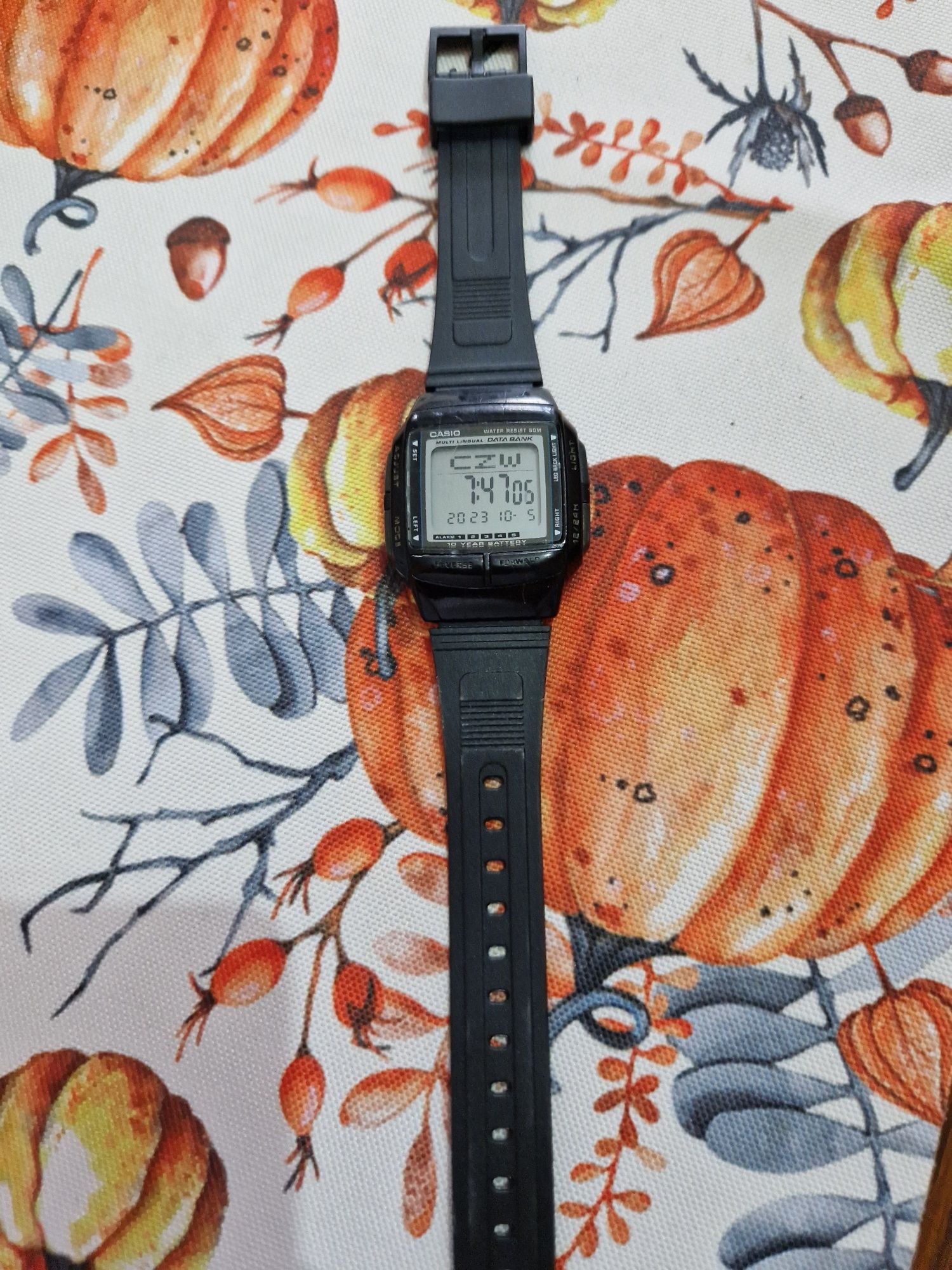 Zegarek męski Casio