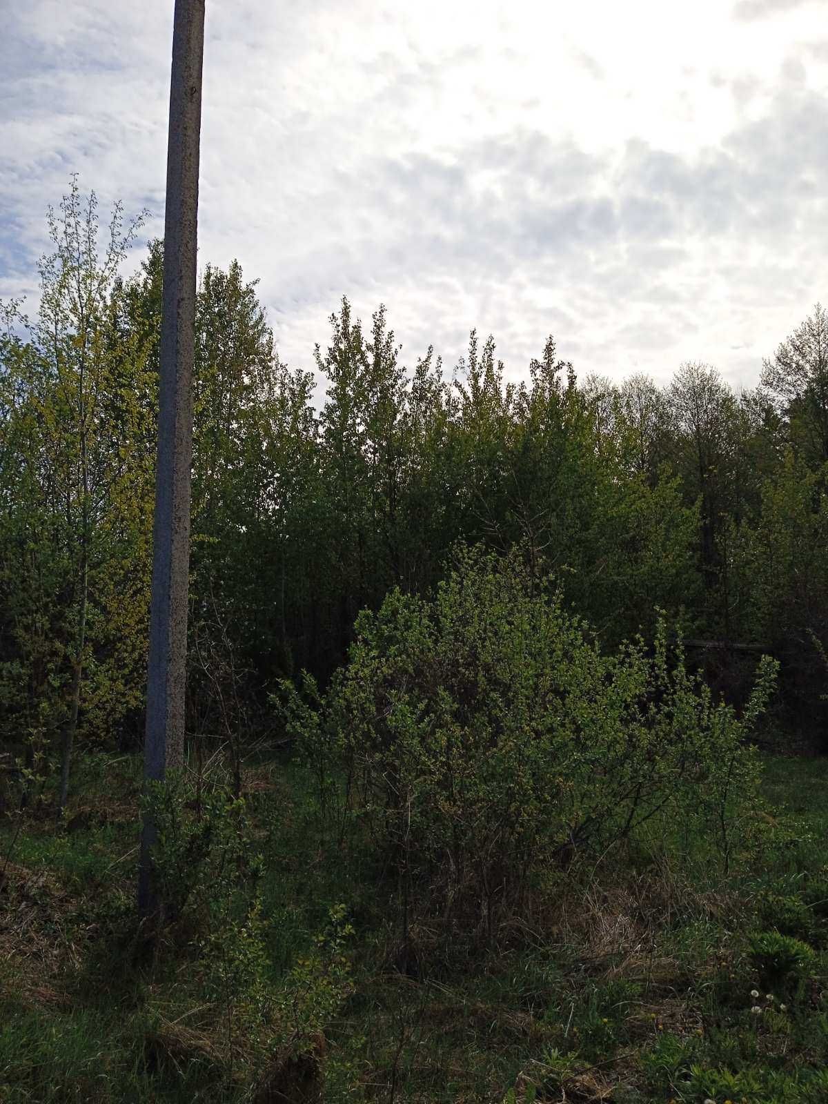 Продам приватизовану ділянку під забудову в с.Давидівка