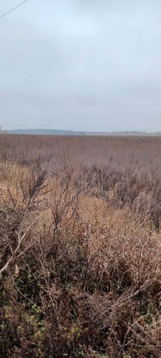 Оренда земельної ділянки, площею 13,8393 га, Сумська обл.