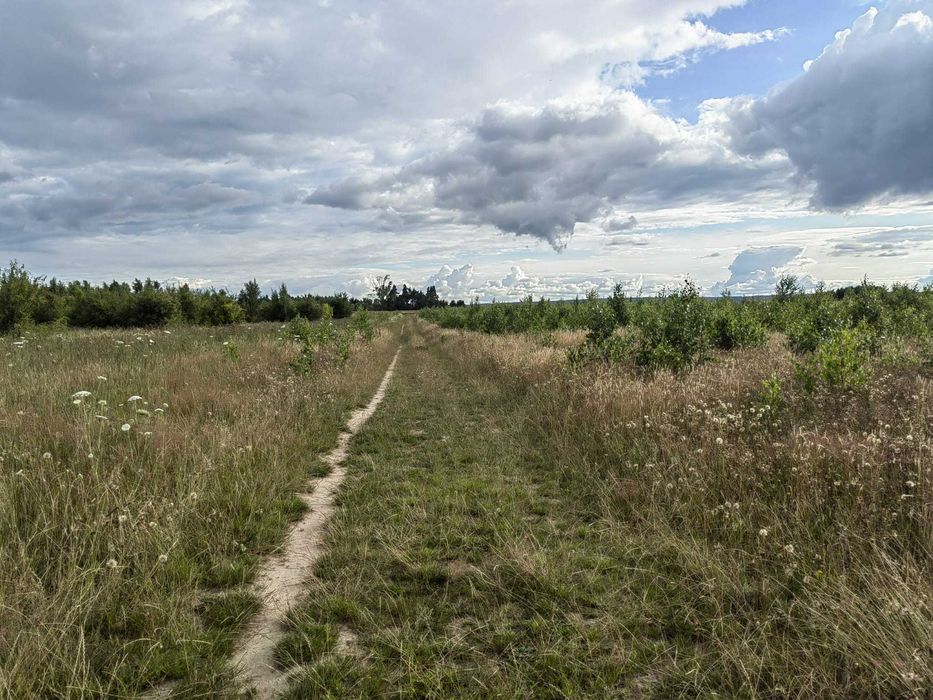 Działka budowlana blisko morza - Strzelno, ul. Szkolna