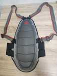 Dorsal/ lombar Dainese