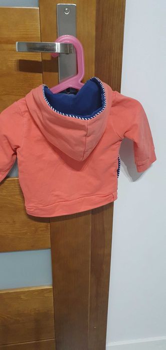 bluza z coccodrillo
