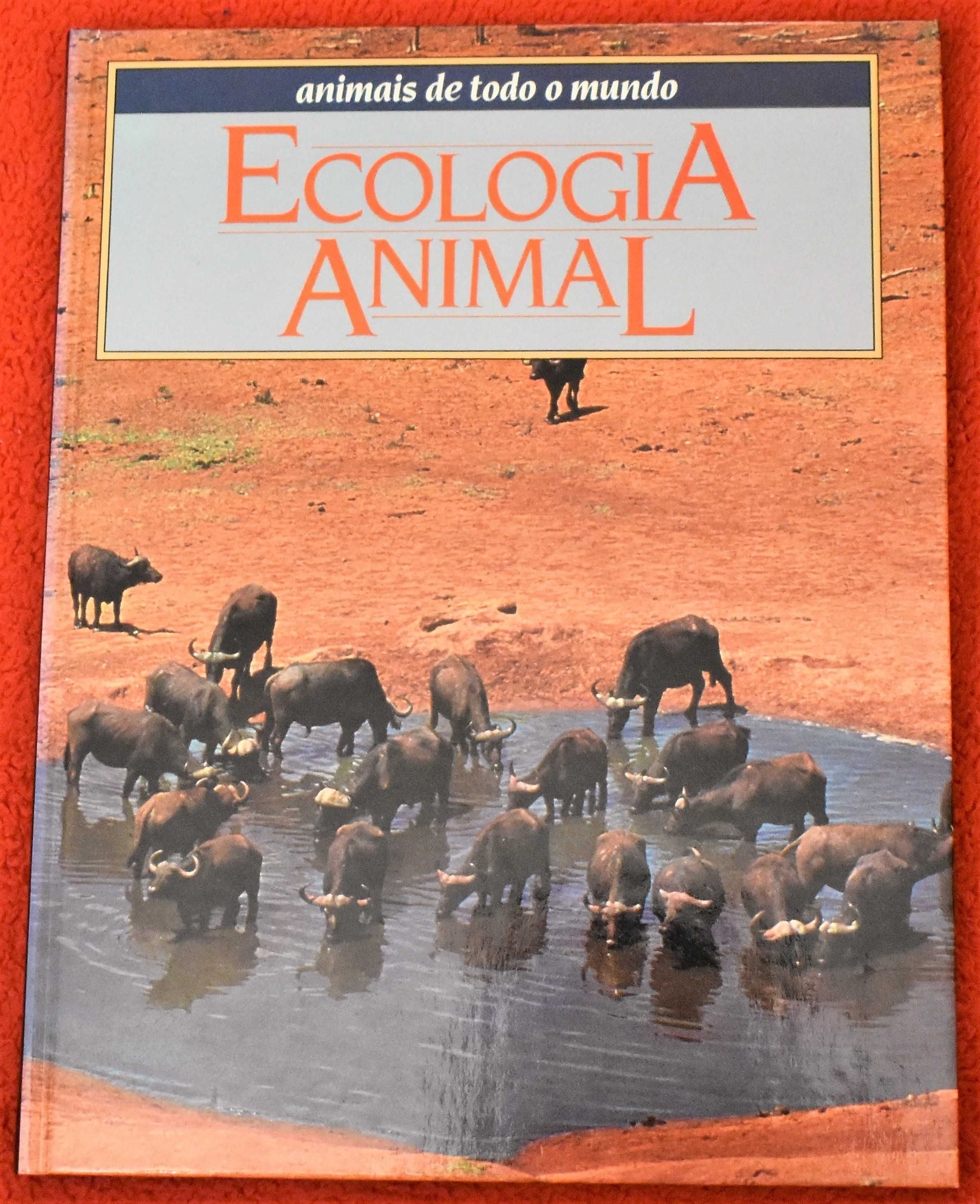 Animais de Todo o Mundo: Ecologia Animal