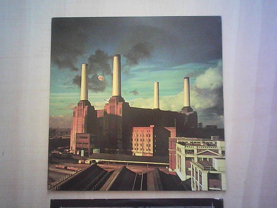 pink floyd, animals