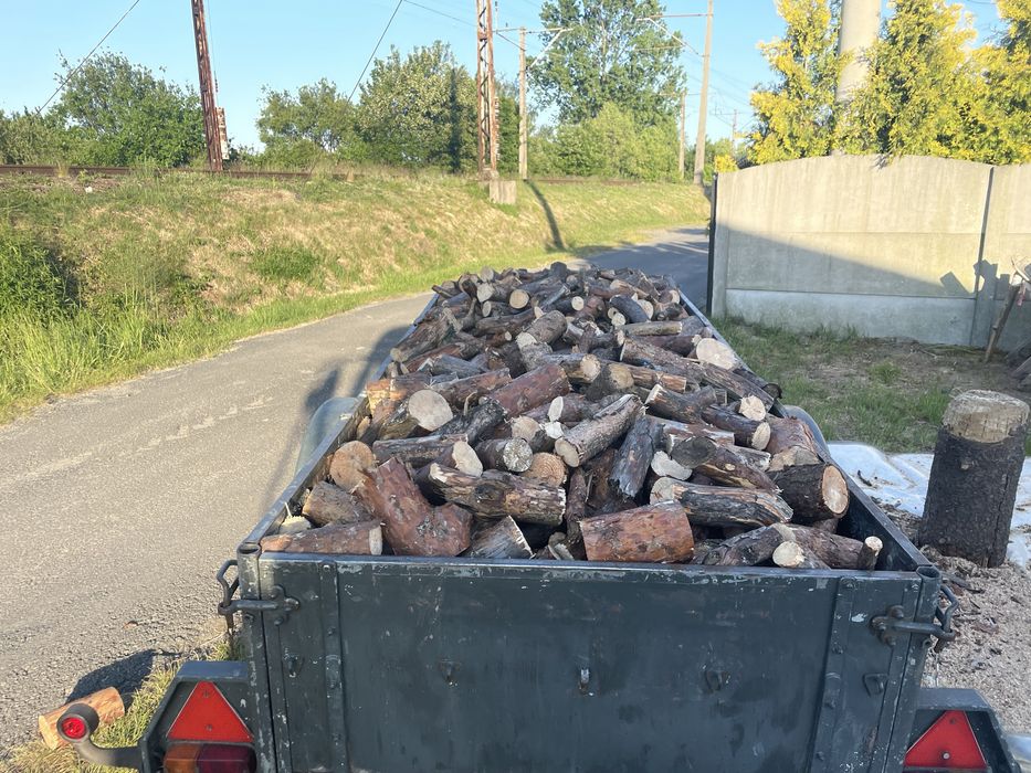 Drewno opałowe suche, cięte, rozpałkowe, sosna. TRANSPORT GRATIS