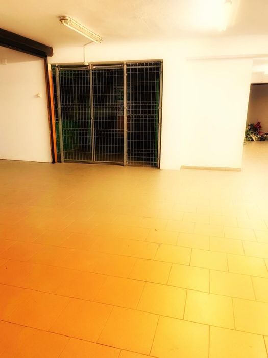 Do wynajęcia hala – 180 m² – centrum Radlina