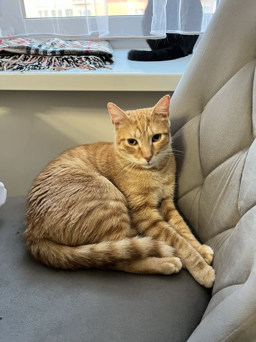 Маркусик шукає родину!!!