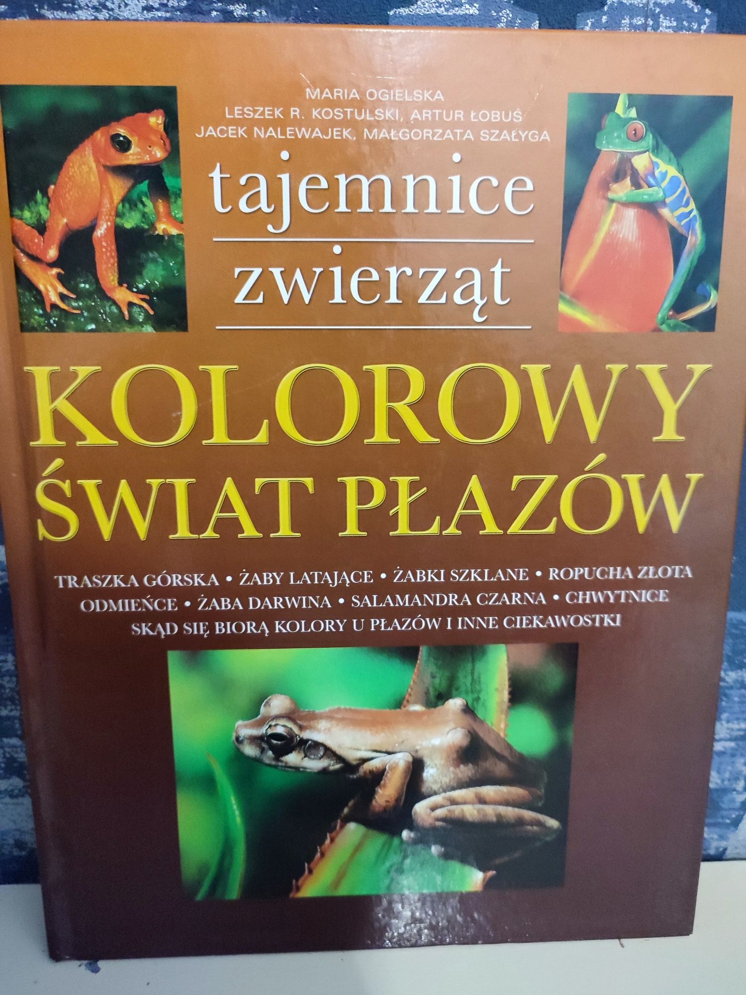 Kolorowy świat płazów