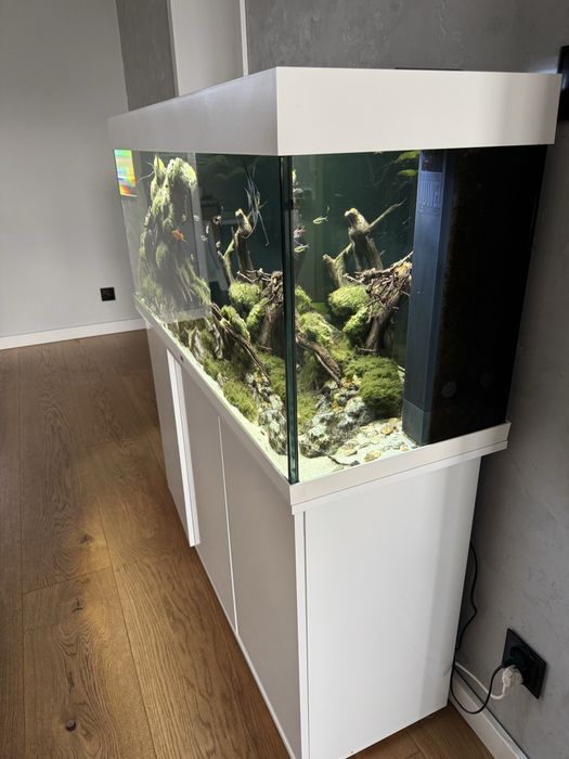 Juwel 240 sprzedam z życiem