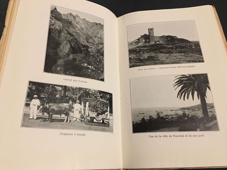 Guia Hidroterápico de Portugal / O Clima da Madeira