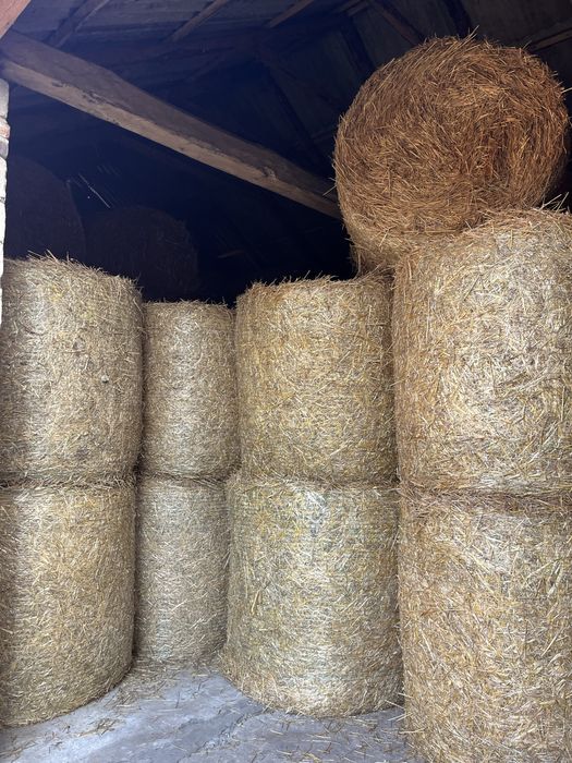 Sprzedam słome tegoroczna