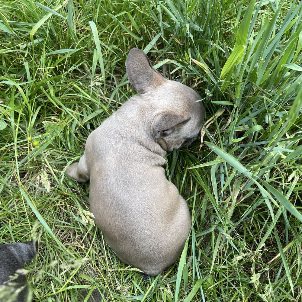 Гарний хлопчик 2 міс