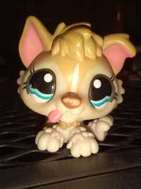 Littlest Pet Shop wilczek