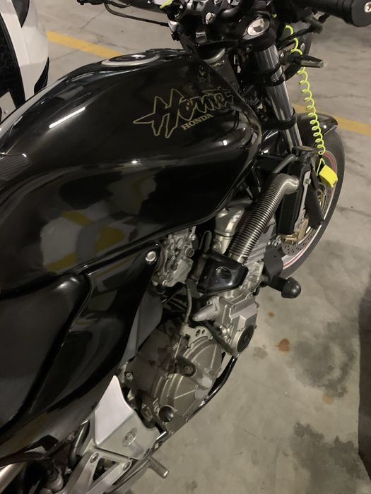 Hornet 99 muito bonita