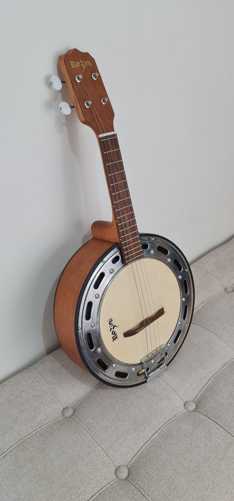 Banjo Brasileiro